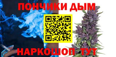 индика Прокопьевск