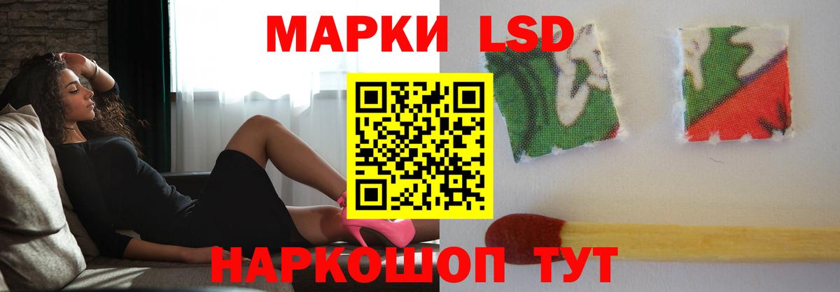 Галлюциногенные грибы Новотроицк