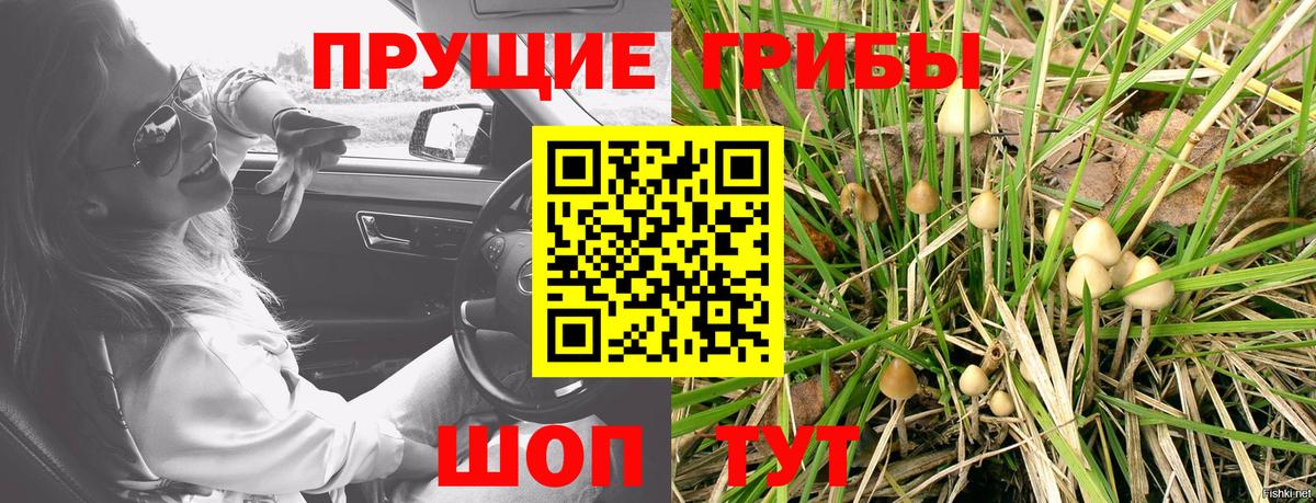как найти закладки  Вход с VPN  Псилоцибиновые грибы мицелий  Новотроицк  Псилоцибиновые грибы прущие грибы 