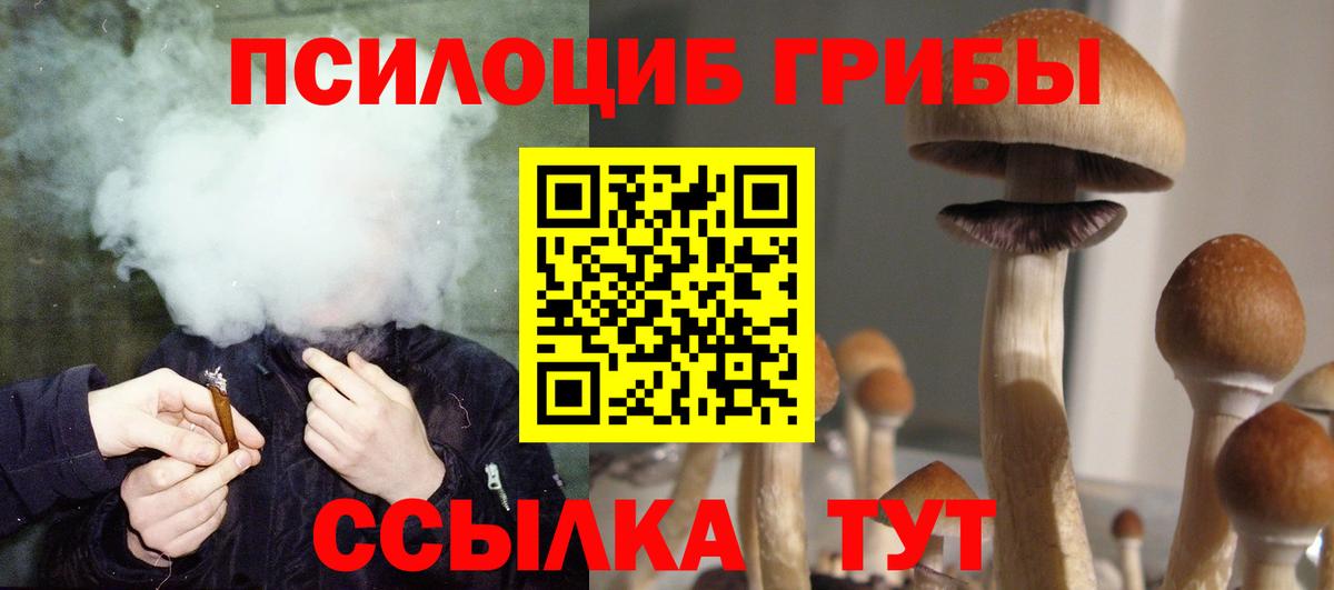 Псилоцибиновые грибы GOLDEN TEACHER Новотроицк